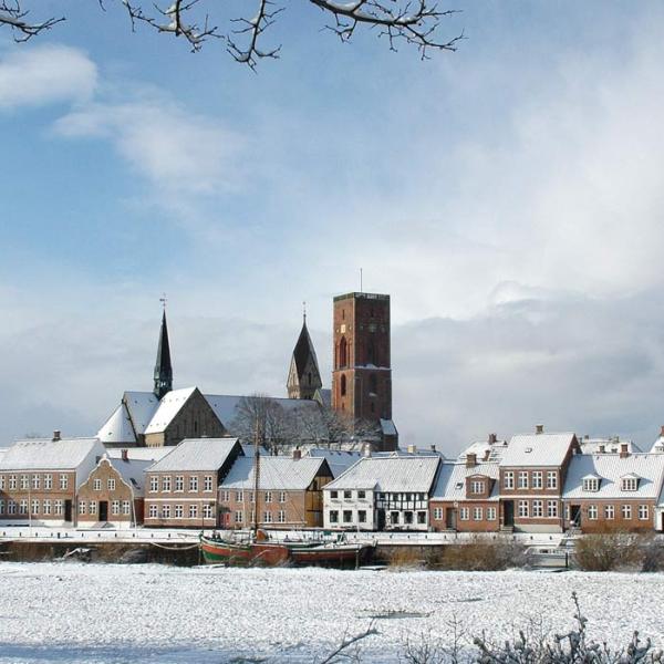 Ribe Domkirke med sne | Vadehavskysten