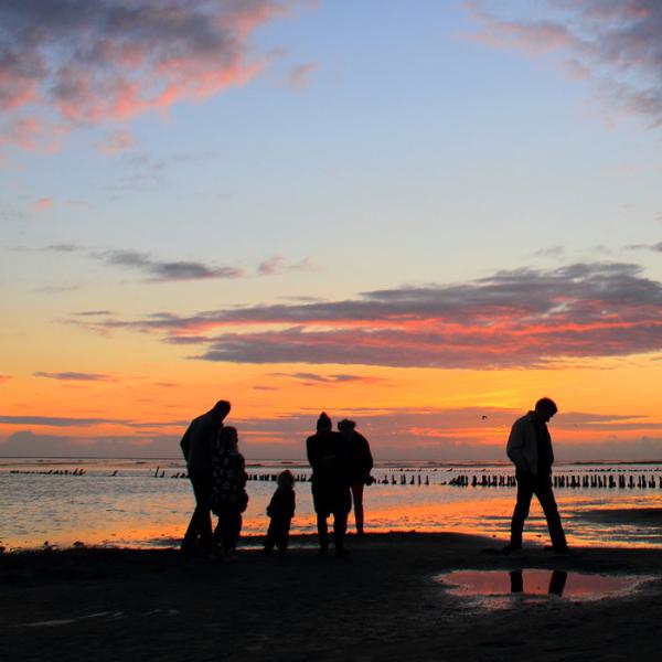 Nationalpark Vadehavet ved solnedgang | Vadehavskysten