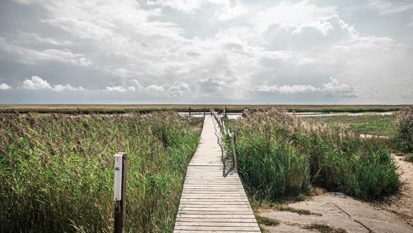 Træbro mod vandet på Fanø | Vadehavskysten