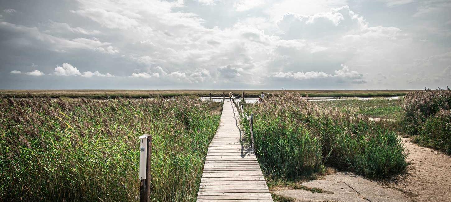 Træbro mod vandet på Fanø | Vadehavskysten