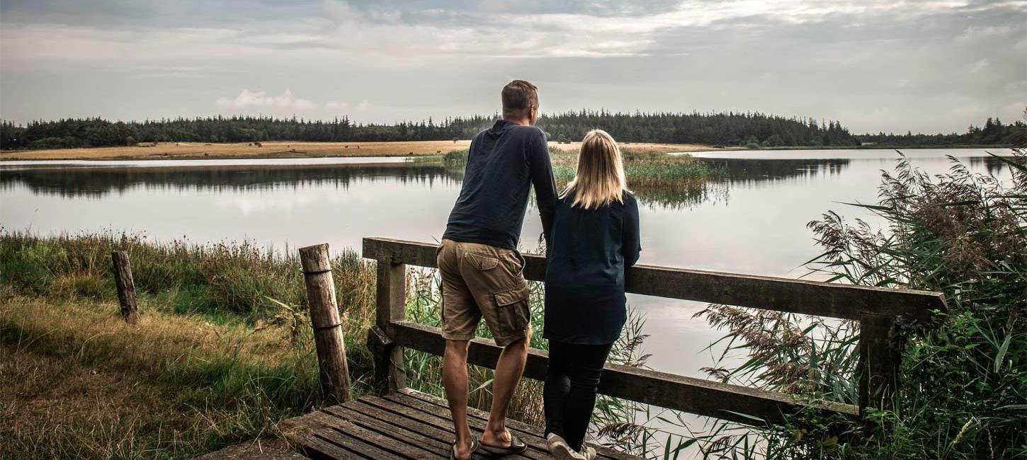 Udsigt ved Marbæk Plantage | Vadehavskysten
