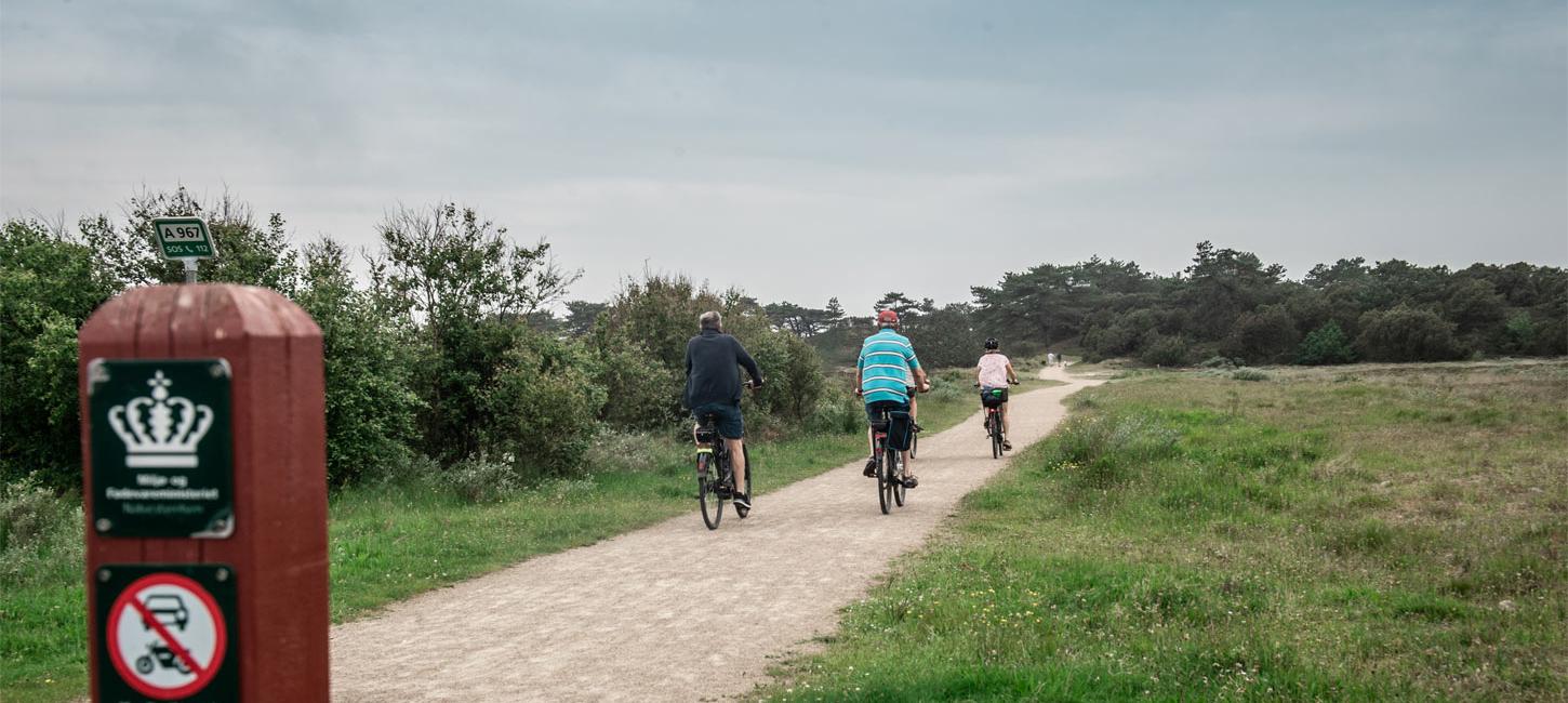 Rundt på Fanø på cykel | Vadehavskysten