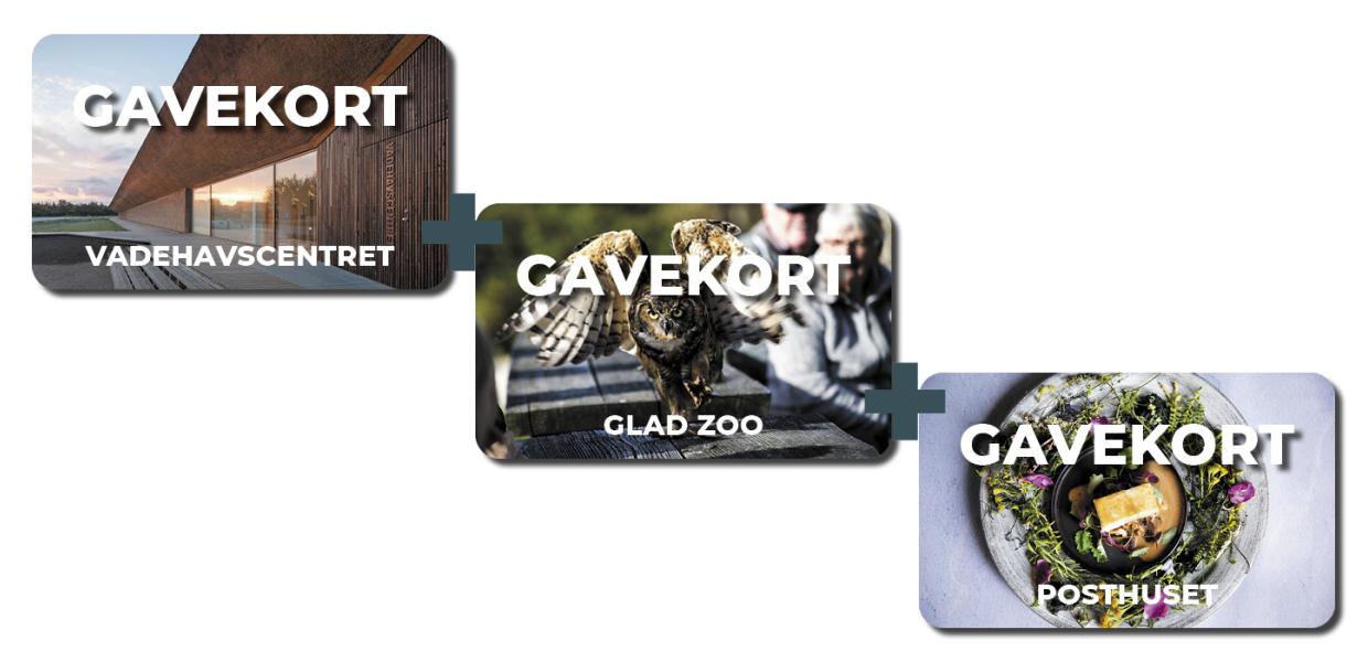 Gavekort til flere oplevelser | Vadehavskysten