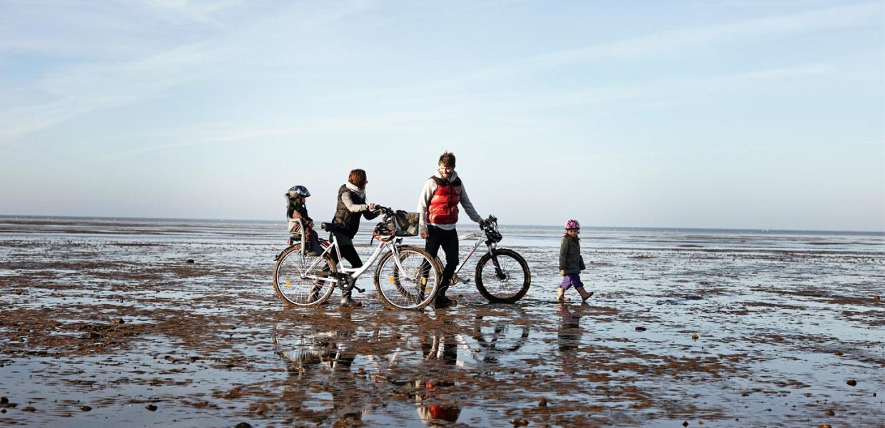 På cykel ved Vadehavet | Vadehavskysten