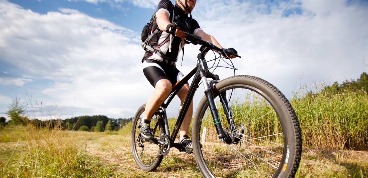 Med Mountainbike på Fanø | Vadehavskysten