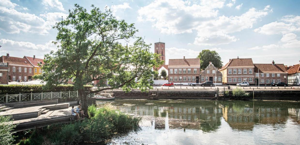 Ribe