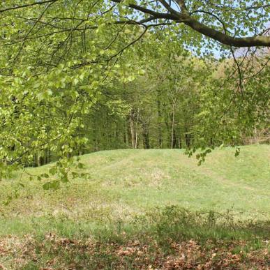 Guidet tur | Plantagen og Galgebakken | Vadehavskysten