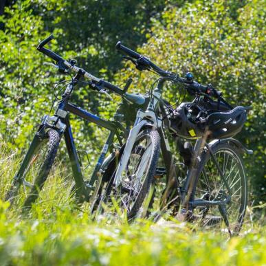 Parkerede cykler | Vadehavskysten