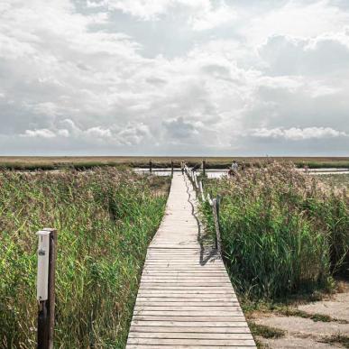 Træbro mod vandet på Fanø | Vadehavskysten