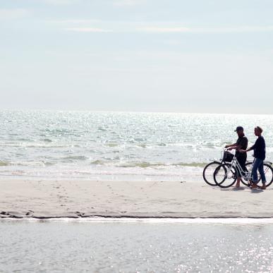Cykle på Fanø Strand | Vadehavskysten