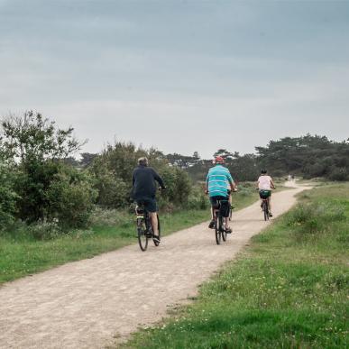 Rundt på Fanø på cykel | Vadehavskysten