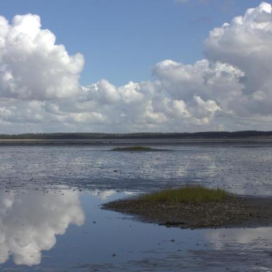 Vadehavet
