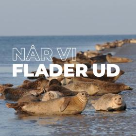 Når vi flader ud | Vadehavskysten