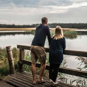 Udsigt ved Marbæk Plantage | Vadehavskysten