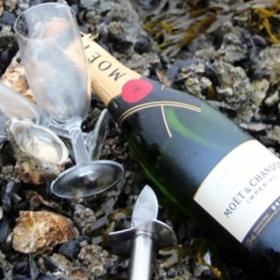 Østers og champagne