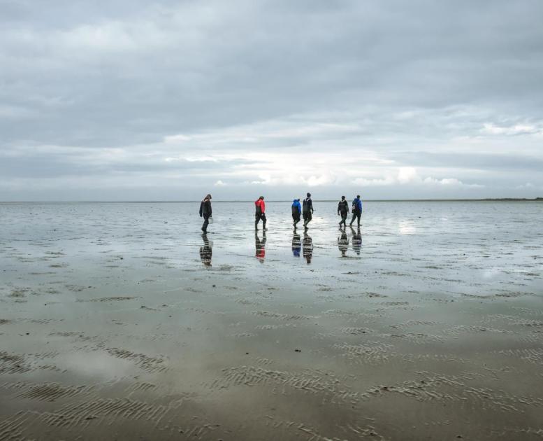 Østerssafari