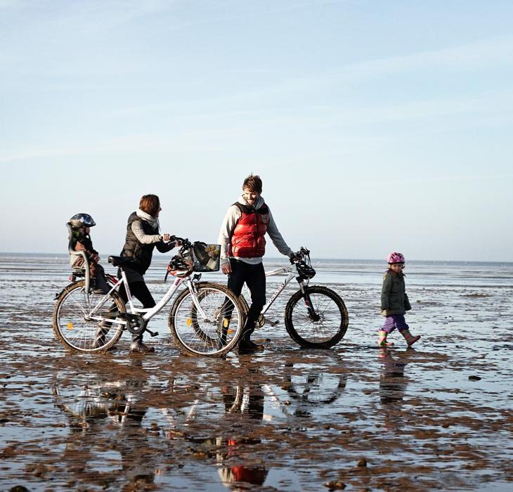 På cykel ved Vadehavet | Vadehavskysten